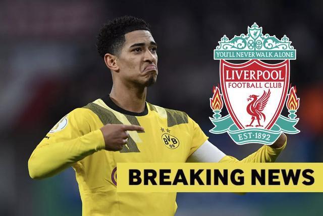 精彩图集 ｜ 2025“冯珊珊杯”国际青少年高尔夫球锦标赛冯珊珊交流会及教学活动举行